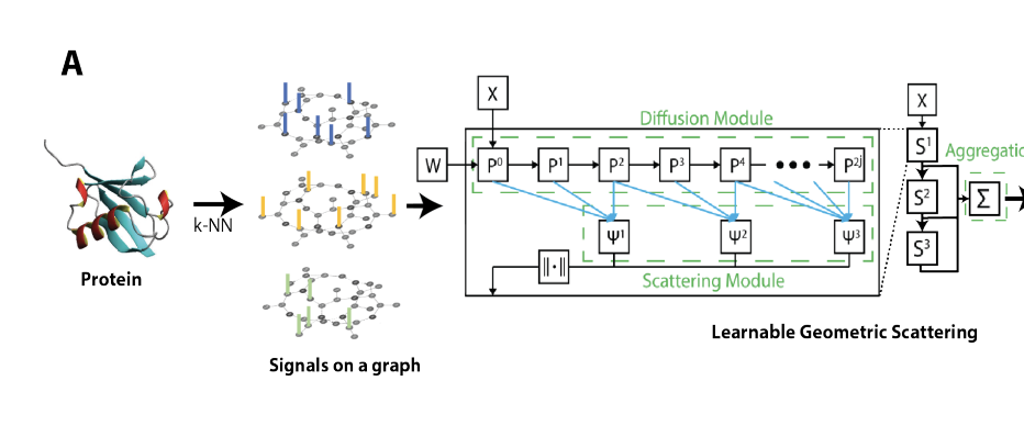 Abstract gradient image for the ProtSCAPE project